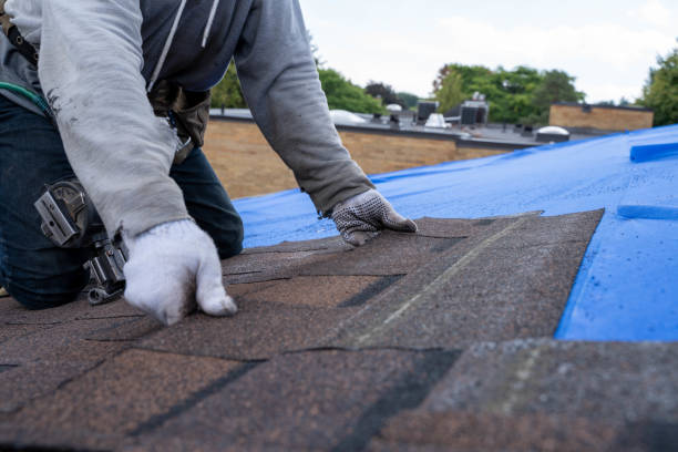 Quick and Trustworthy Emergency Roof Repair Services in East Brewton, AL